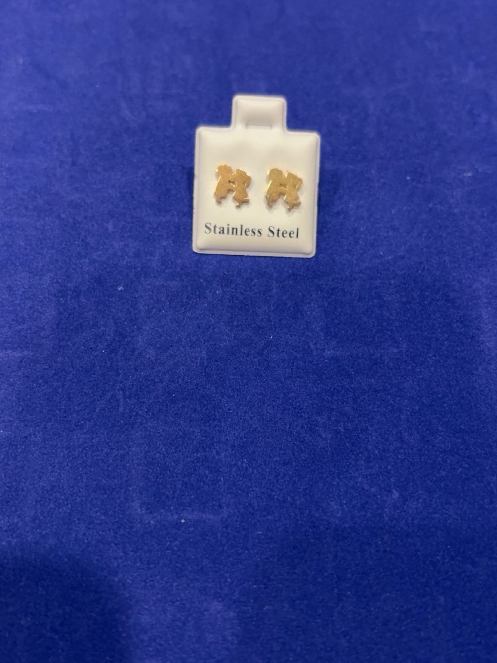 Gold Tone Stainless Steel Stud Earrings
